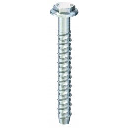 TORNILLO HORM. 10X65...