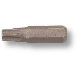 PUNTA BOCA TORX T-20 MM.535620