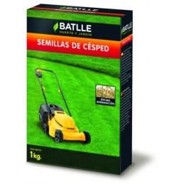 SEMILLA RAY-GRASS ING.1K043301