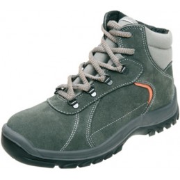 BOTA PLANT.ZION S/BREGA SBP41