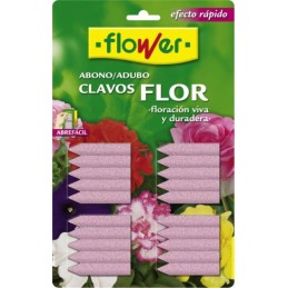 ABONO CLAVOS PLANTA CON FLOR 3