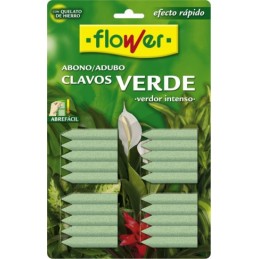 ABONO CLAVOS PLANTA VERDE 20U